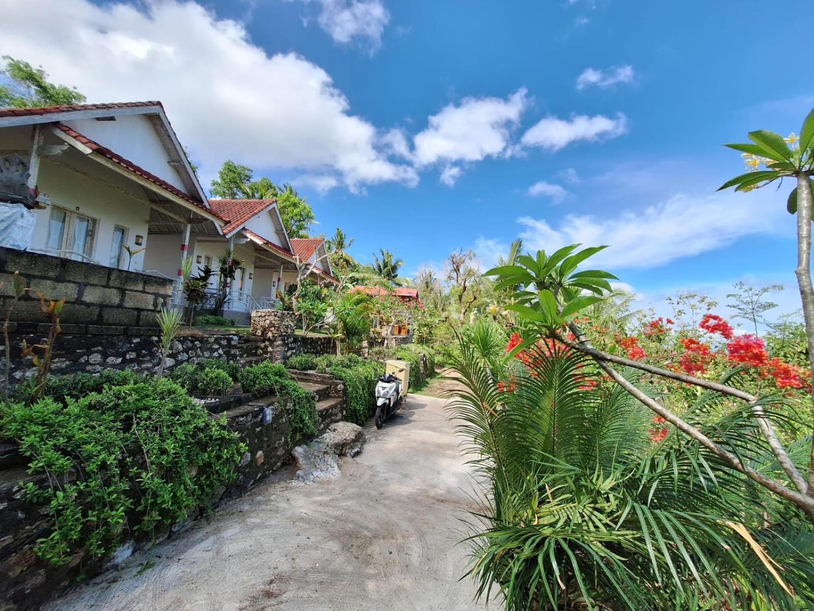 La Colina Bungalow Ped Εξωτερικό φωτογραφία